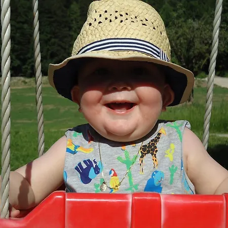 瓦豪富尔堡尔恩豪富巴姆比豪富酒店 * 湖滨福煦