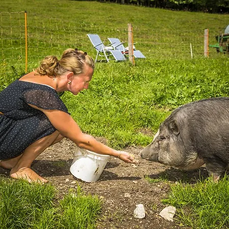 瓦豪富尔堡尔恩豪富巴姆比豪富酒店 *