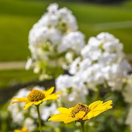农家乐 瓦豪富尔堡尔恩豪富巴姆比豪富酒店 *