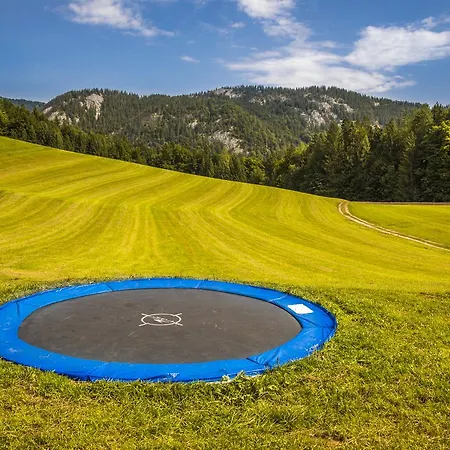 Κατάλυμα σε φάρμα Wohlfuehlbauernhof Bambichlhof *