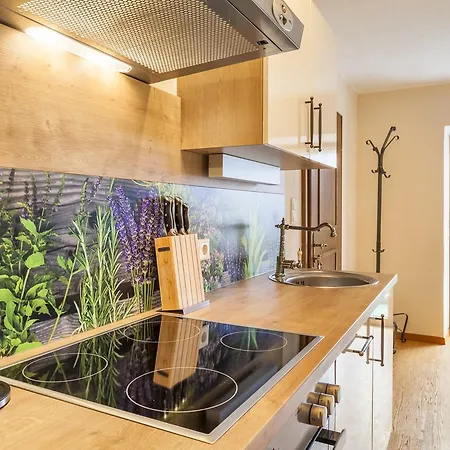 瓦豪富尔堡尔恩豪富巴姆比豪富酒店 * 湖滨福煦