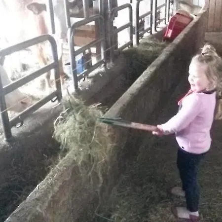 瓦豪富尔堡尔恩豪富巴姆比豪富酒店 农家乐