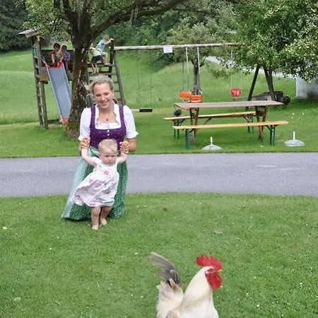 农家乐 瓦豪富尔堡尔恩豪富巴姆比豪富酒店 湖滨福煦