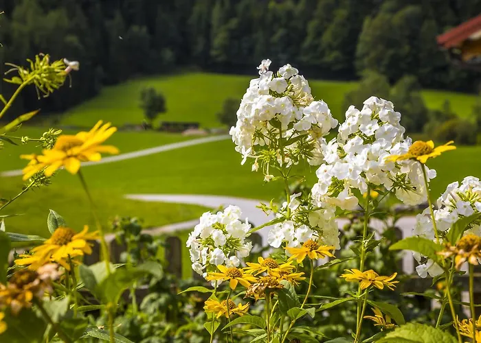Wohlfuehlbauernhof Bambichlhof Fuschl am See