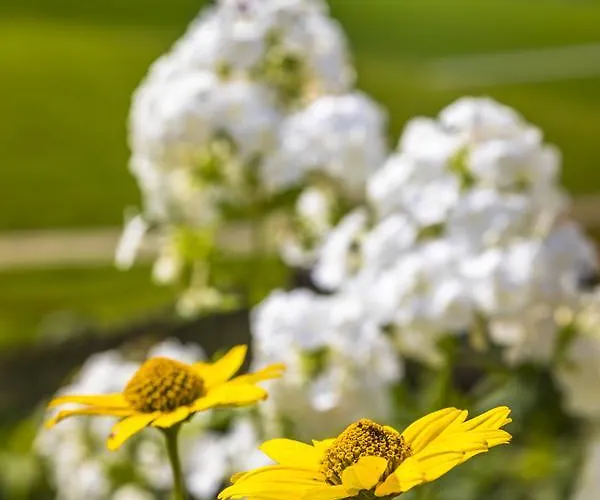 Alojamento de Turismo Rural Wohlfuehlbauernhof Bambichlhof *