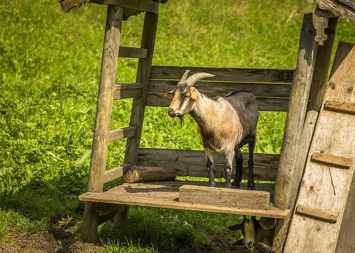 Wohlfuehlbauernhof Bambichlhof Fuschl am See
