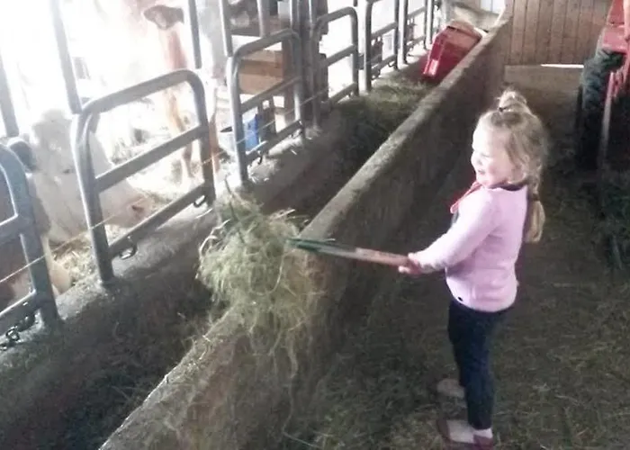 Wohlfuehlbauernhof Bambichlhof Alojamento de Turismo Rural